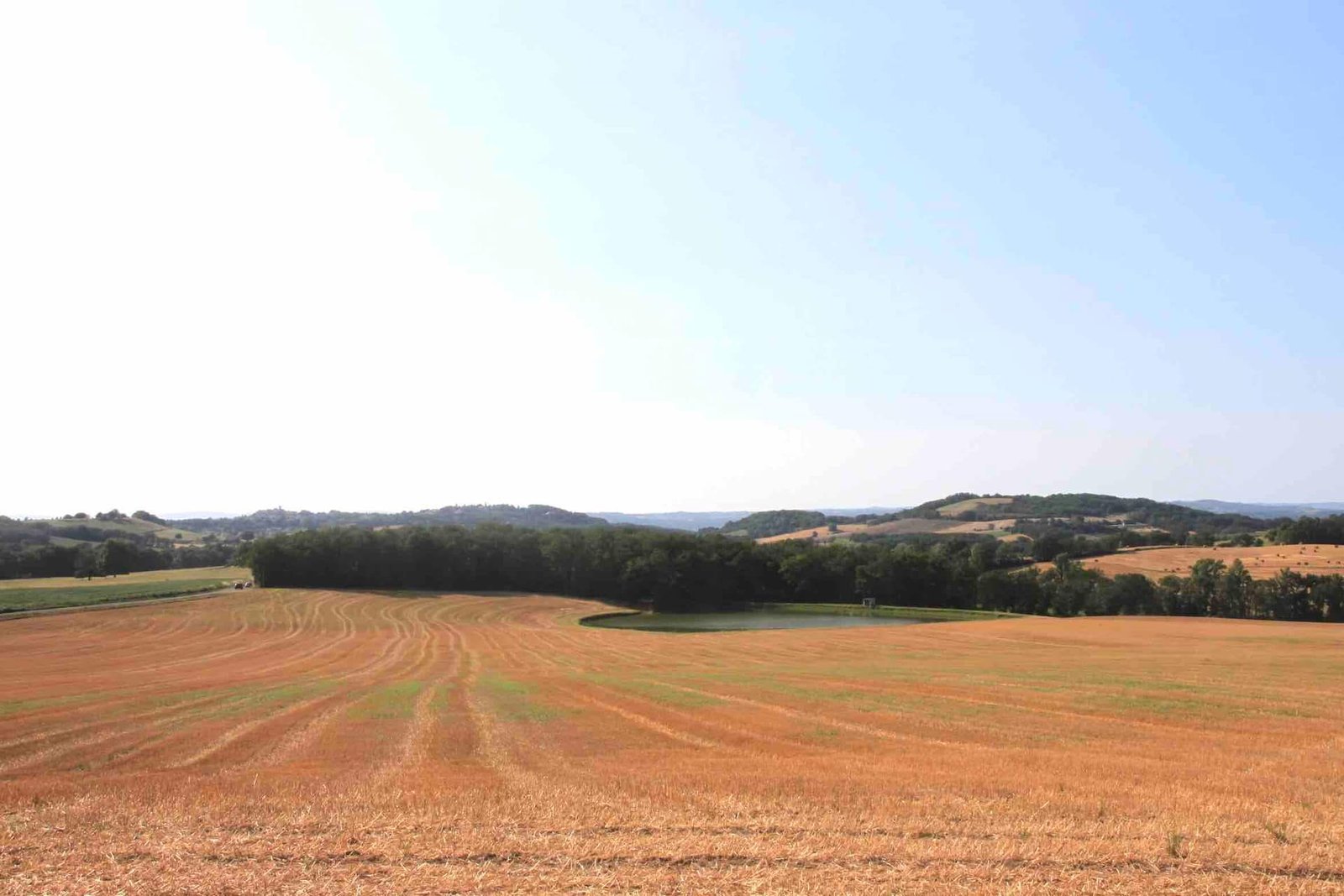 Les champs et les collines autour du domaine, au petit matin